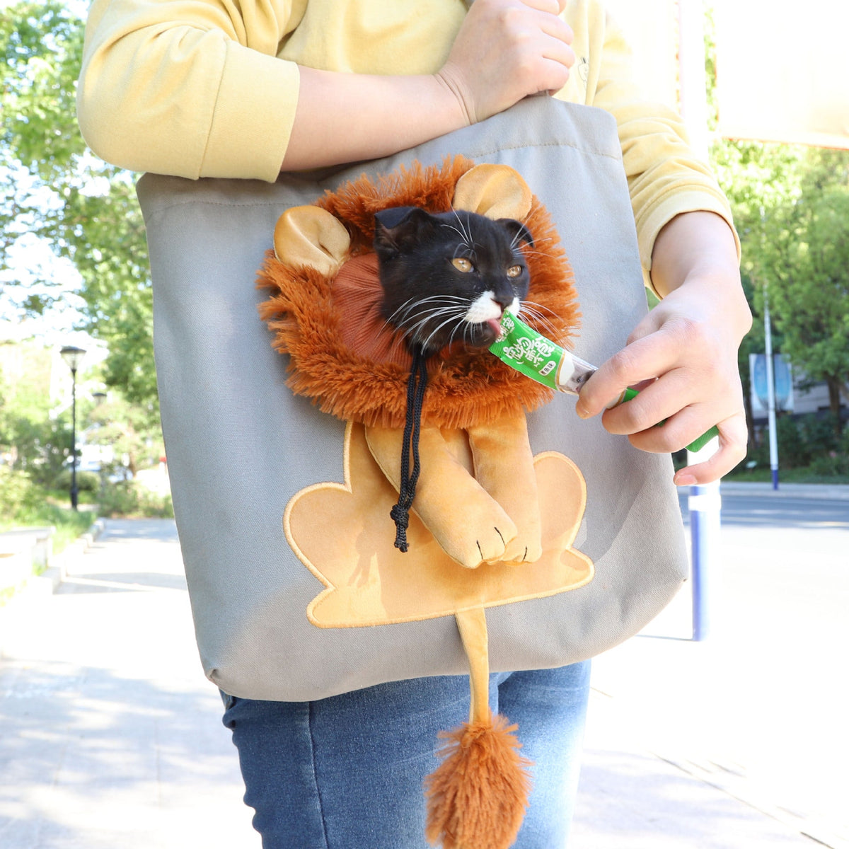 Lion-Design Soft Pet Carrier