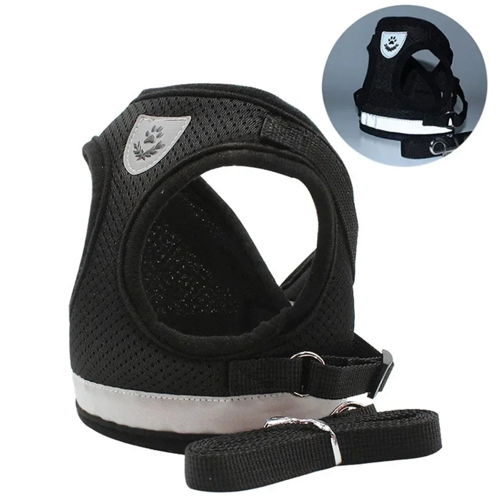 Reflective Cat Harness and Leash for Every Adventure