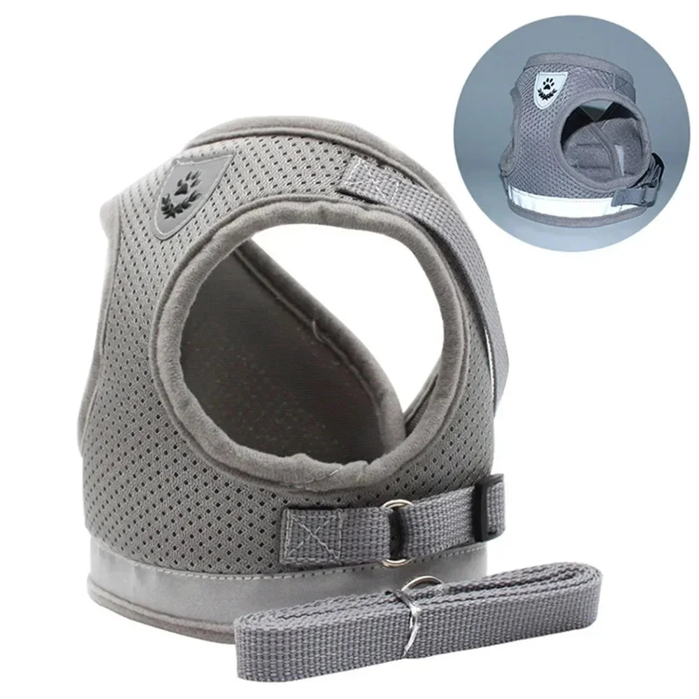 Reflective Cat Harness and Leash for Every Adventure